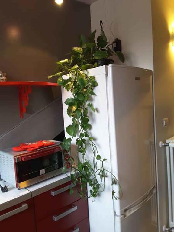 Nonno Pinin Apartment Turin Exterior photo